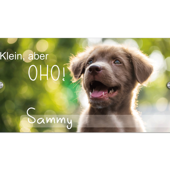 Hund-Schild haustier namensschild gravur bild