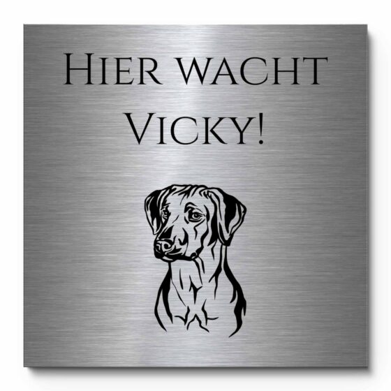 Vorsicht Hund Schild