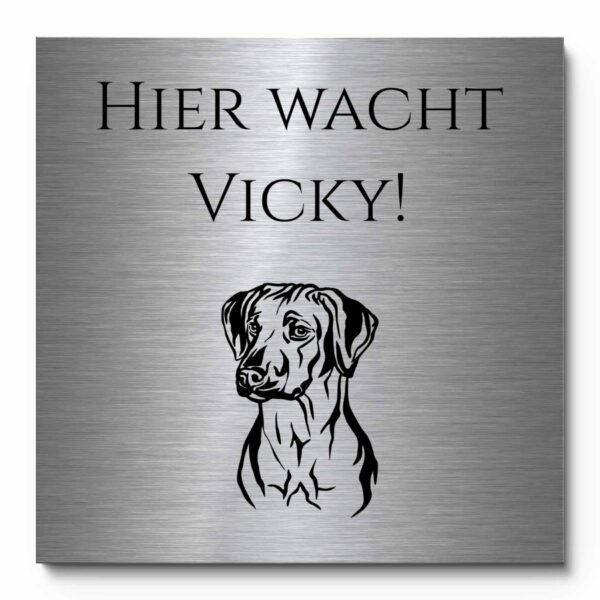 vorsicht hund schild