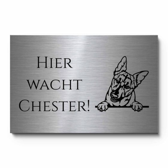 Vorsicht Hund Schild