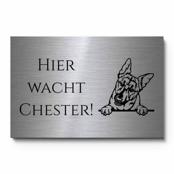 vorsicht hund schild